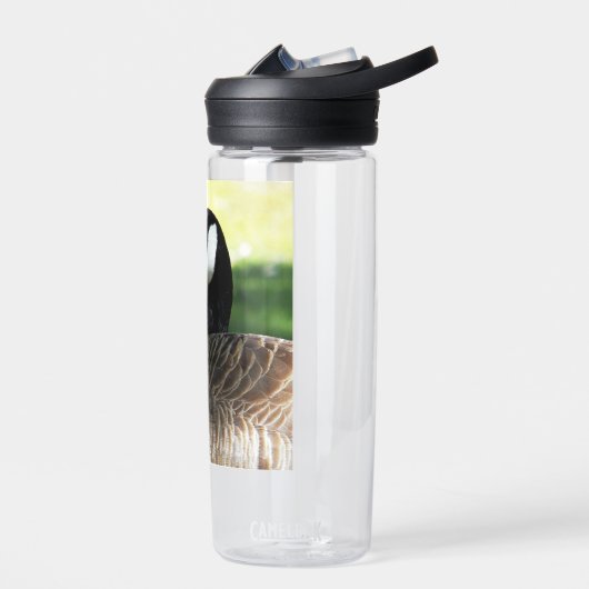 休息中のカナダガチョウ野生動物写真 ウォーターボトル (左面)