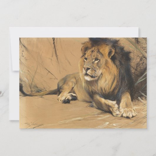 休息中のライオン | ウィルヘルムクハルト (正面)