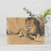 休息中のライオン | ウィルヘルムクハルト (スタンド正面)