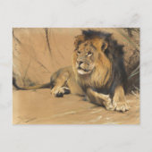 休息中のライオン | ウィルヘルムクハルト ポストカード (正面)