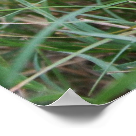 休息中の狩人は ポスター (角)