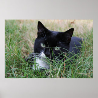 休息中の狩人は ポスター