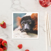 休息中の赤ひび割れキツネザル スタンダードカクテルナプキン (インサイチュ)