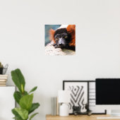 休息中の赤ひび割れキツネザル ポスター (ホームオフィス)