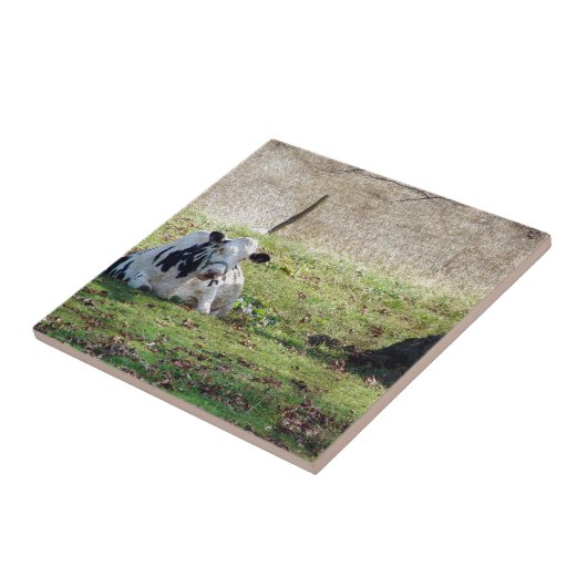 休息乳牛 タイル (側面)