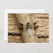 休息時のトンボ ポストカード (正面/裏面)