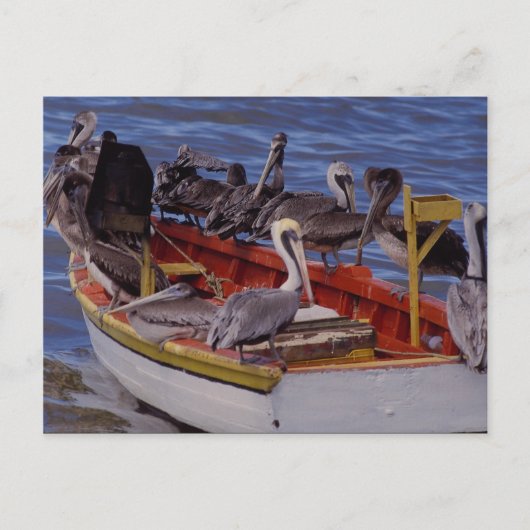 休息時間、ベネズエラ ポストカード (正面)