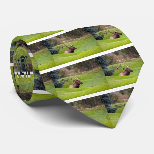 休息用エルク ネクタイ (ロール)