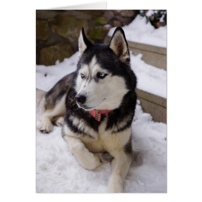 休憩の時間 (正面)