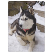 休憩の時間 クリップボード (裏面)