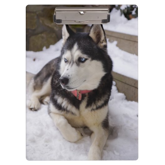 休憩の時間 クリップボード (正面)