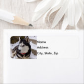 休憩の時間 ラベル (インサイチュ)