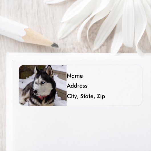 休憩の時間 ラベル (インサイチュ)