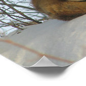 休憩キツネポスター ポスター (角)