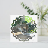 休憩中のクマライオンの招待状 招待状 (スタンド正面)