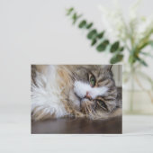 休憩中のラガムフフィン ポストカード (スタンド正面)