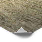 休憩牛 – ポスター (角)