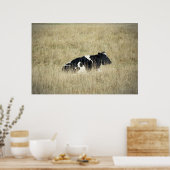 休憩牛 – ポスター (キッチン)