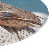 休憩用アヒル カッティングボード (角)