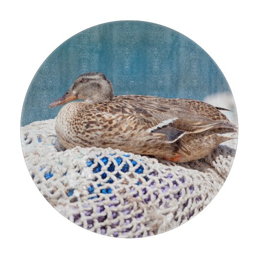 休憩用アヒル カッティングボード (正面)