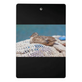 休憩用アヒル ミニクリップボード (裏面)