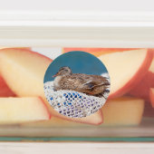 休憩用アヒル ラベル (貼付)