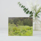 休憩用ムースポストカード ポストカード (スタンド正面)