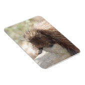 休憩用山嵐 マグネット (右側)