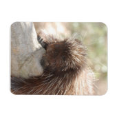 休憩用山嵐 マグネット (横)