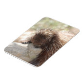 休憩用山嵐 マグネット (左側)