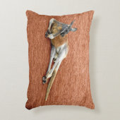 休憩赤カンガルー アクセントクッション (正面(垂直))