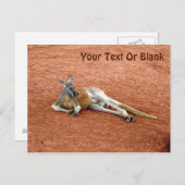 休憩赤カンガルー ポストカード (正面/裏面)