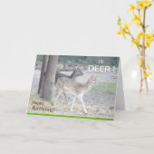 休憩鹿誕生日グリーティングカード カード (黄色い花)