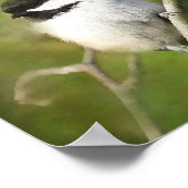 休憩《鳥》アメリカゴガラ- ETSY ポスター (角)