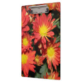 休日かわいらしオレンジ色のデイジー花。フローラ庭 クリップボード (左)