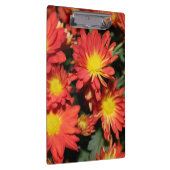 休日かわいらしオレンジ色のデイジー花。フローラ庭 クリップボード (右)