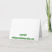 休日のおかしなドライブ シーズンカード (裏面)