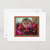 休日のふくろねずみ シーズンポストカード (正面/裏面)