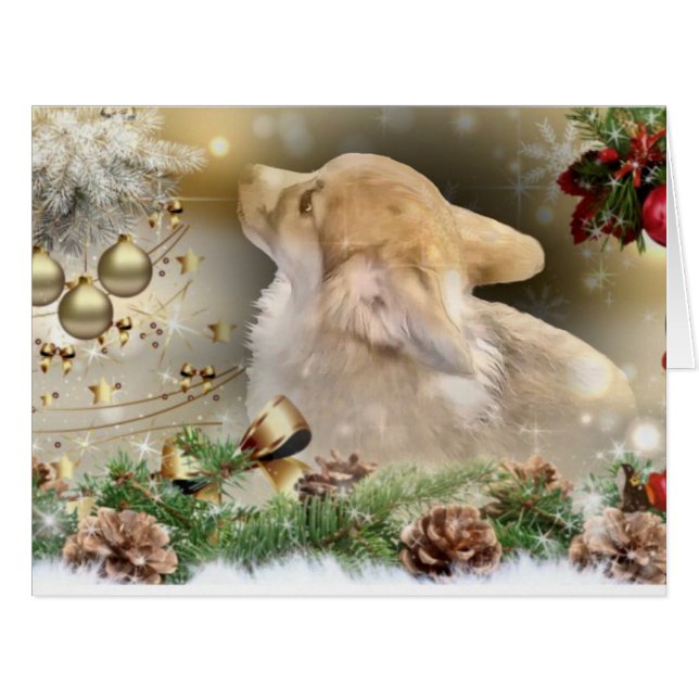 休日のウェルシュコーギーの子犬 (正面横)