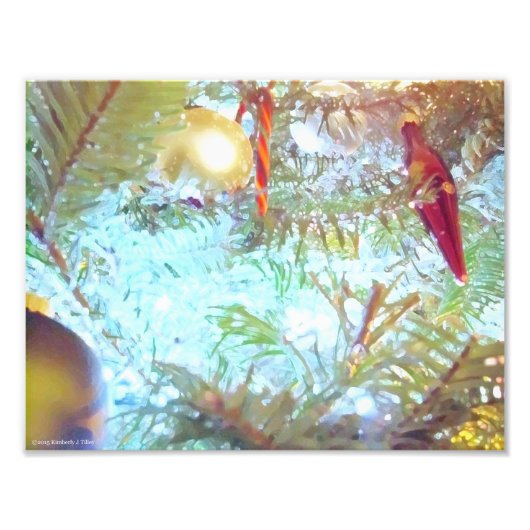 休日のオーナメントインザライト フォトプリント            (正面)