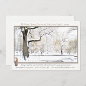 休日のオープンハウス: 招待 招待状 (正面/裏面)