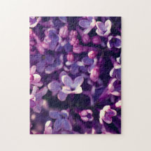 休日のカラー写真