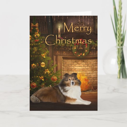 休日のシェットランド・シープドッグ シーズンカード (正面)