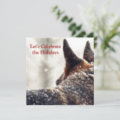 休日のジャーマン・シェパード 招待状 (スタンド正面)