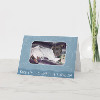 休日のピットブルカード シーズンカード