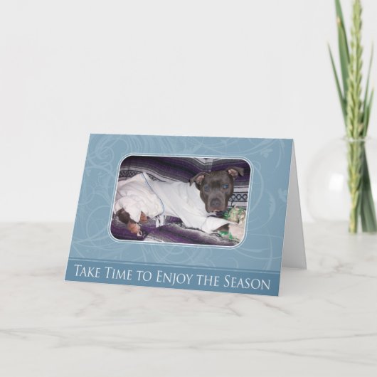 休日のピットブルカード シーズンカード (正面)