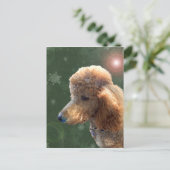 休日のプードル シーズンポストカード (スタンド正面)