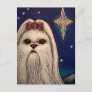 休日のマルタ犬- BELENの星1 シーズンポストカード