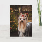 休日のヨークシャーテリアのクリスマスカード シーズンカード (正面)