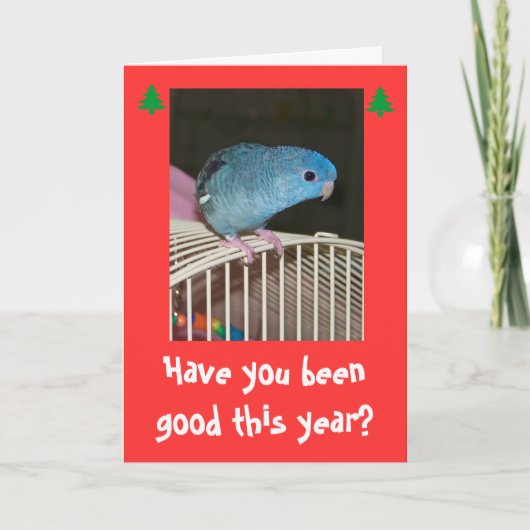 休日の休日のPoopyカードメリークリスマス シーズンカード (正面)